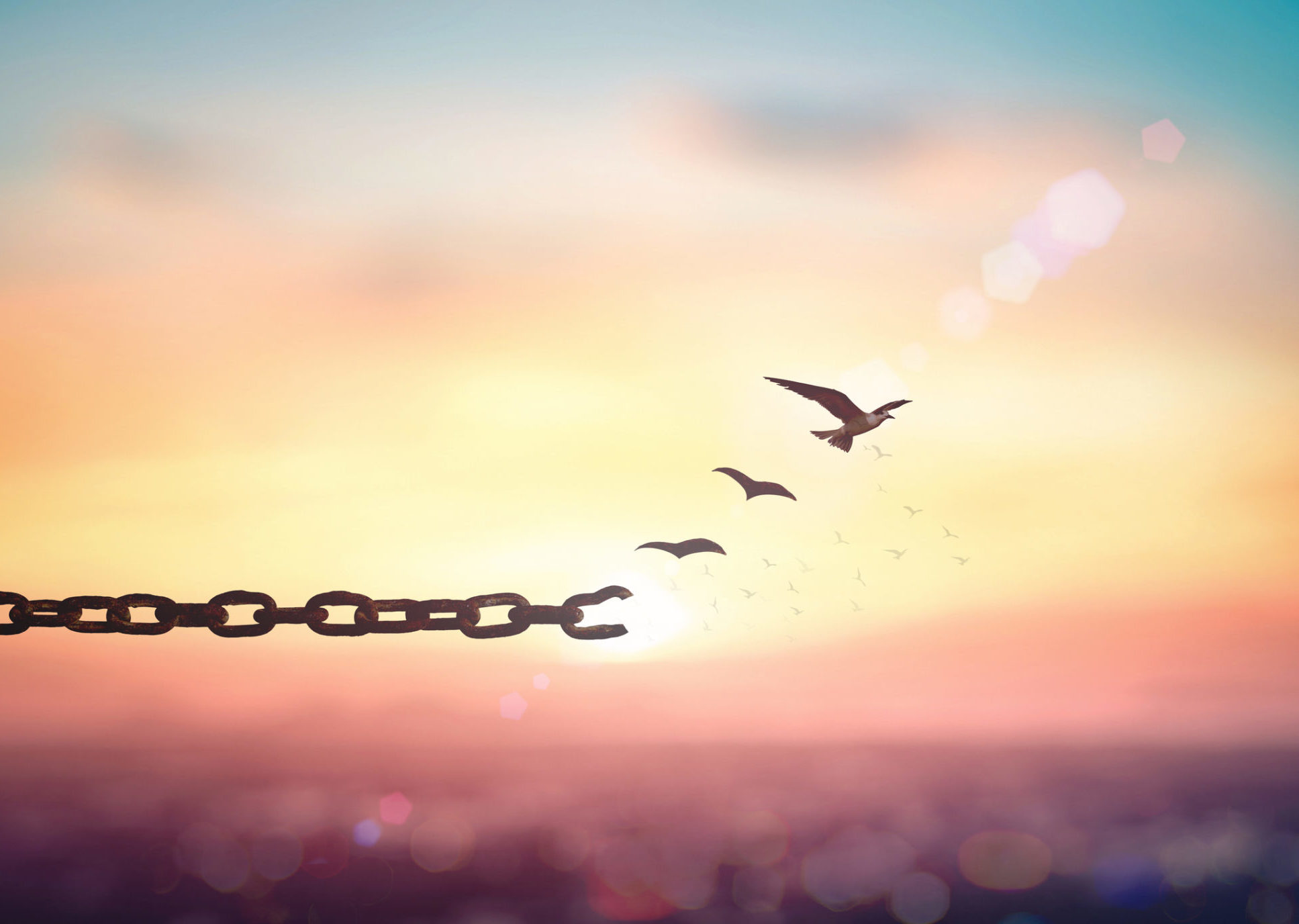 Silhouette of bird flying and broken chains at beautiful mountain and sky autumn sunset background