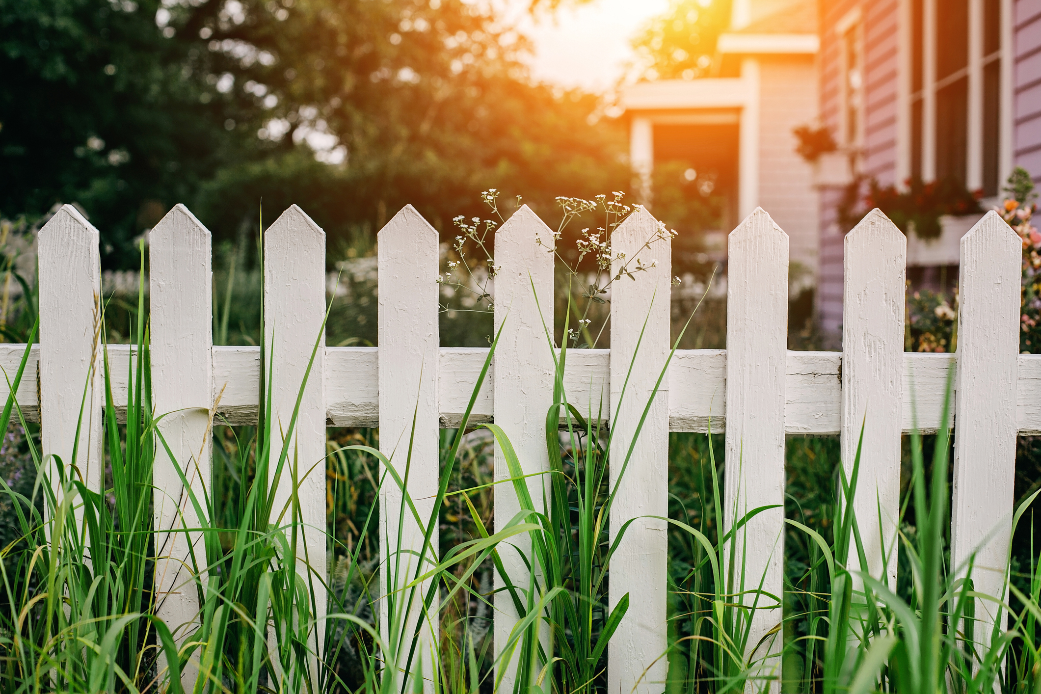 White wooden fence at detached house backyard