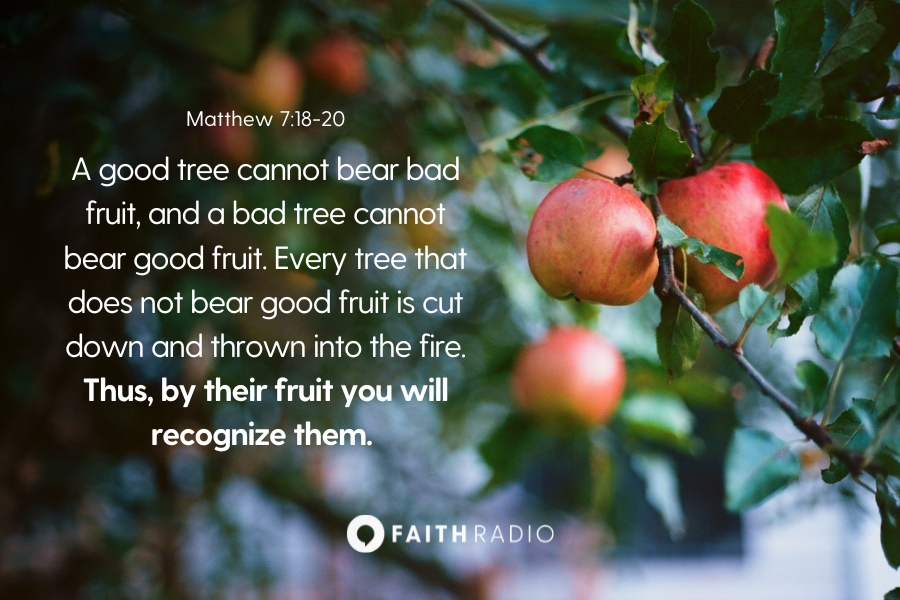 Matthew 7:18-20