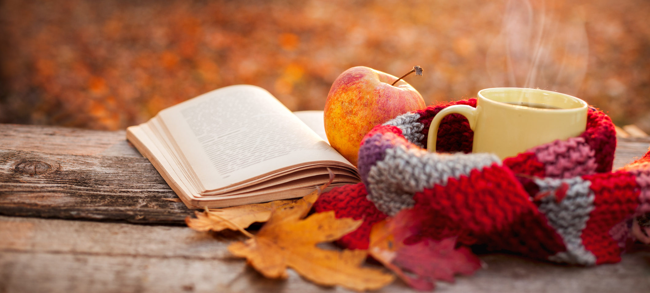 Долгими осенними вечерами мы читали. Книги про осень. Чтение осенью. Поздняя осень чтение. Осенние чтения фон.