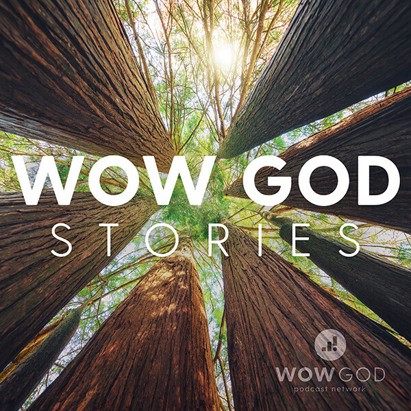 Wow God Stories album image